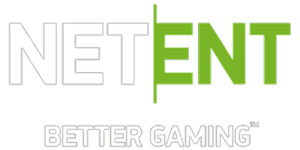Visa partner logo